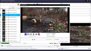 Xilisoft Anaglyph Bild