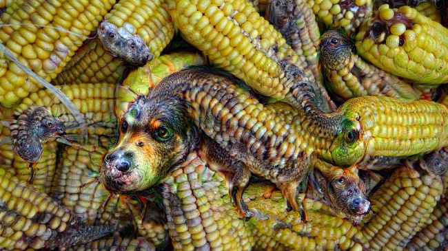 DeepDream, DreamScope wenn Computer träumen