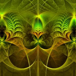 JWildfire Fraktal, JWildfire Fractal