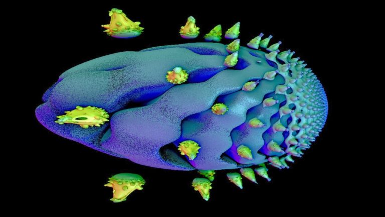 Mandelbulb 3D Fractal Riemann Quadist1