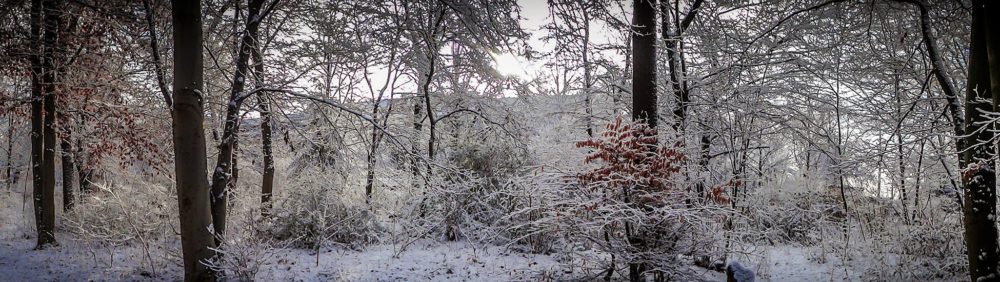 Hasenheide Neukölln Panorama