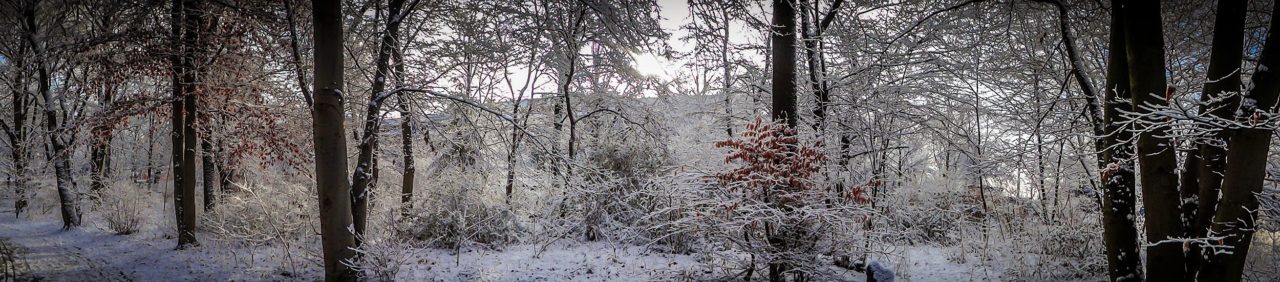 Hasenheide Winter Panorama