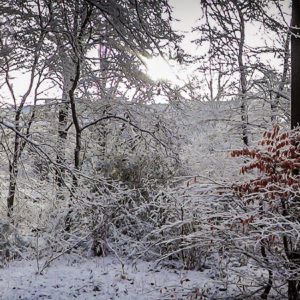 Hasenheide Neukölln Panorama