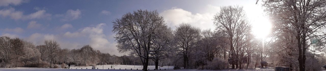 Hasenheide Winter Panorama 4