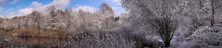 Hasenheide Winter Panorama 5