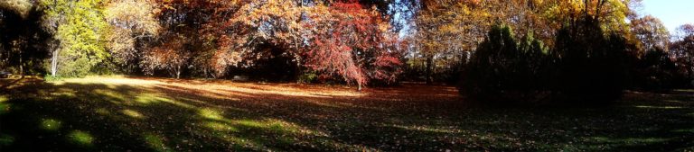 Hasenheide Berlin Neukölln Panorama