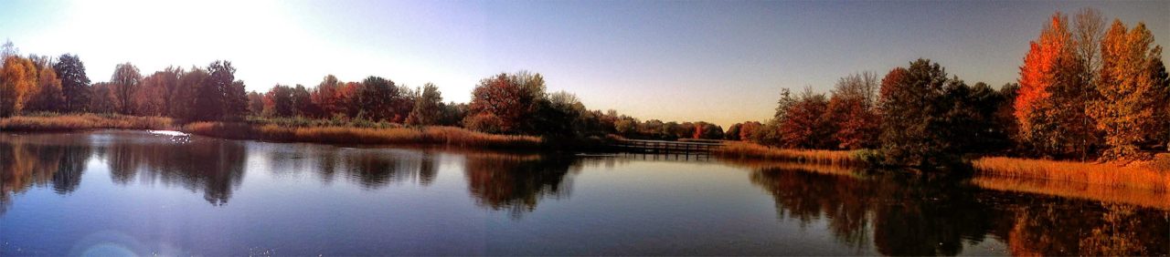 Britzer Garten Panorama