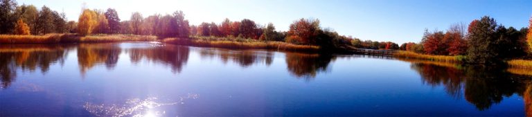 Britzer Garten Panorama 2