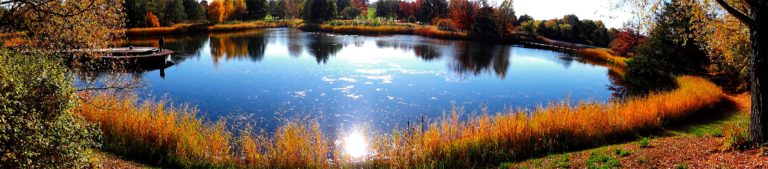 Britzer Garten Panorama 3