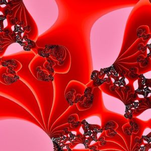 Fractal Explorer-Sterlingware Fraktal