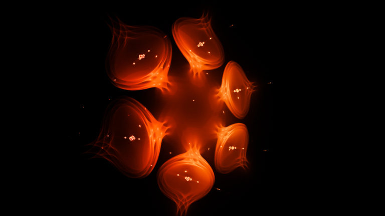 JWildfire Fraktal, JWildfire Fractal