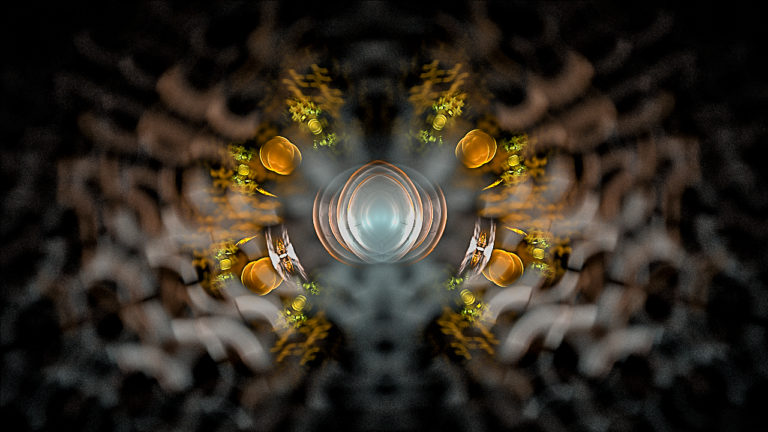JWildfire Fraktal, JWildfire Fractal