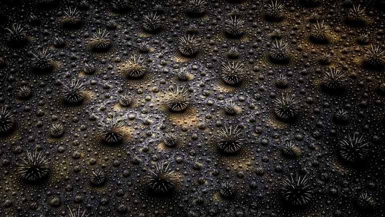 JWildfire Fraktal, JWildfire Fractal