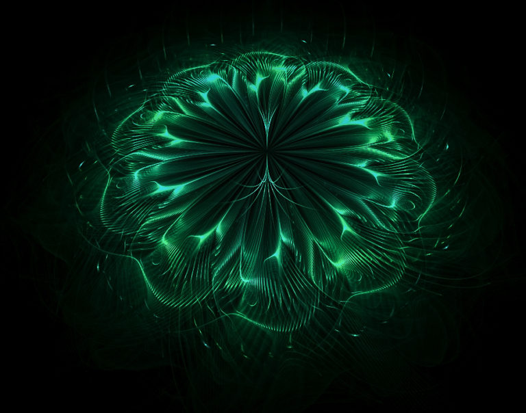 JWildfire Fraktal, JWildfire Fractal