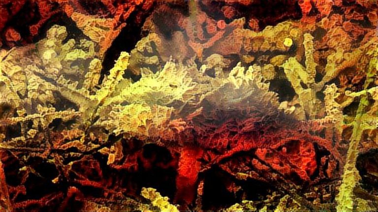 dreamscope Pilz Flughafen Tempelhof