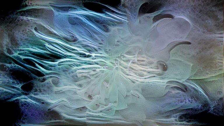 dreamscope Pflanze 5