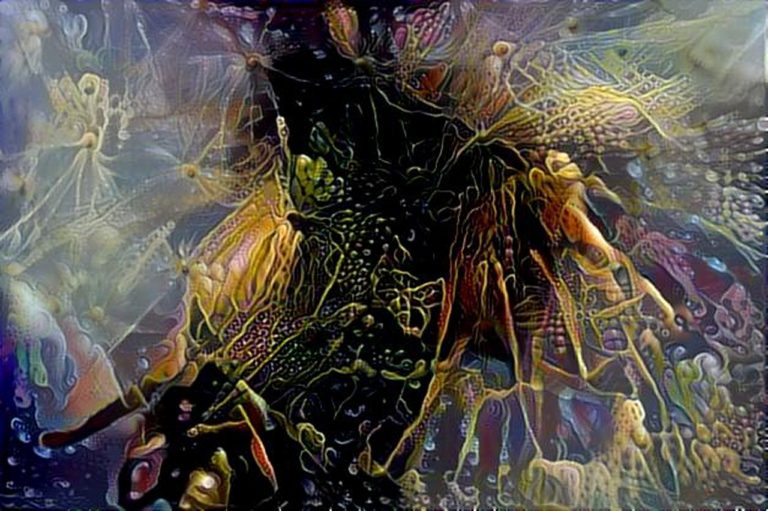 dreamscope Pflanze Pusteblume 1