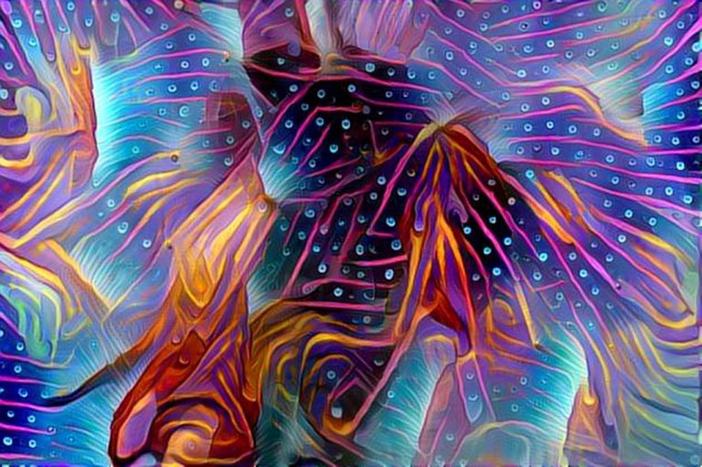 dreamscope Pflanze Pusteblume 3