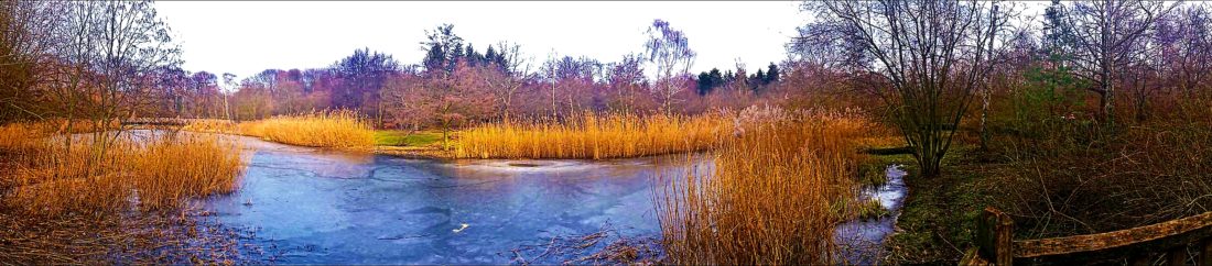 Panorama am Teich im Britzer Garten