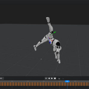 Plask-mocap-abspielen