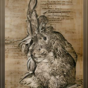 Albrecht-Dürer-Rabbit